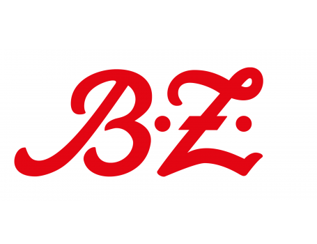 B.Z.-Einfallstorseite