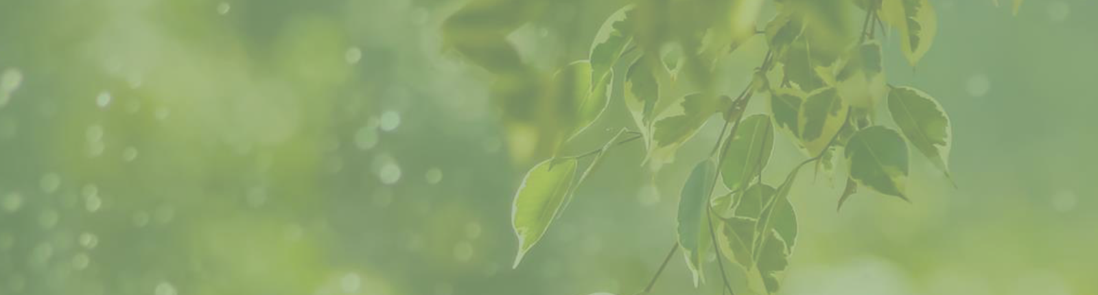 Header-upday-nachhaltigkeit