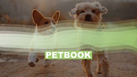 PETBOOK Mediadaten 2023