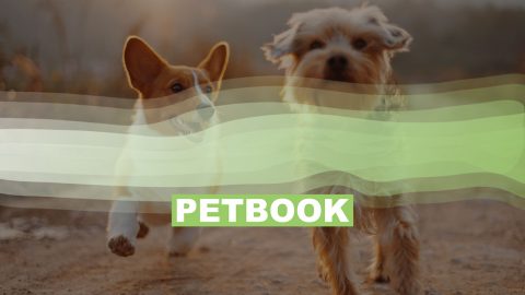 PETBOOK Mediadaten 2024