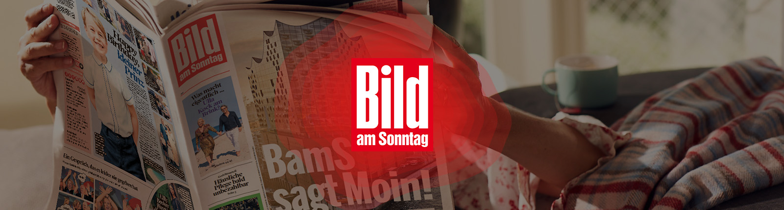 header_headerimagemodul_markenseiten_BAMS