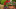 myHOMEBOOK Pflanzenkalender