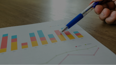 BILD Wirkungs-Plus-Studie 2020